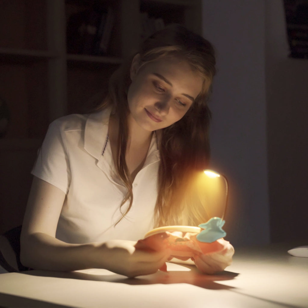 Glocusent Pocket-sized Clip-on Reading Light